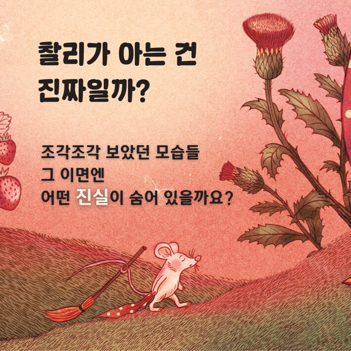 카드뉴스6