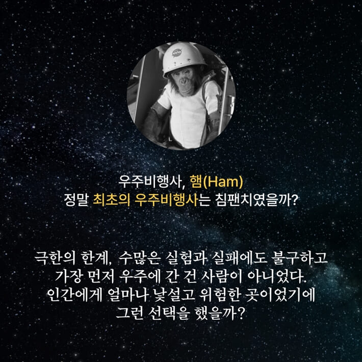 카드뉴스5