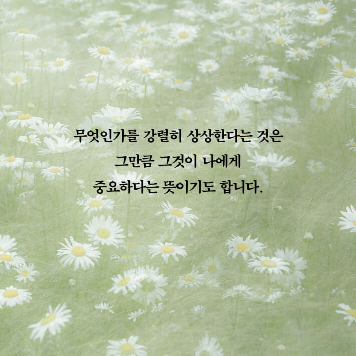 카드뉴스0