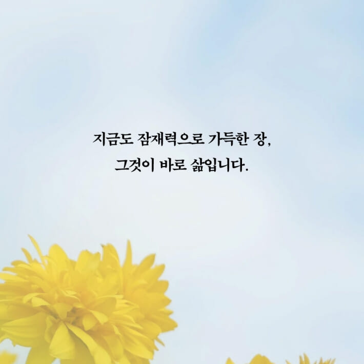 카드뉴스6