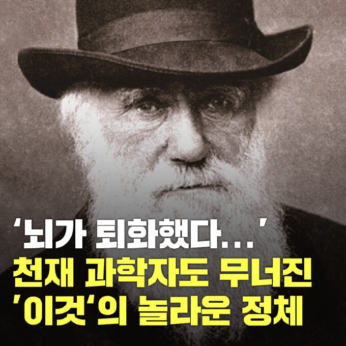 카드뉴스0