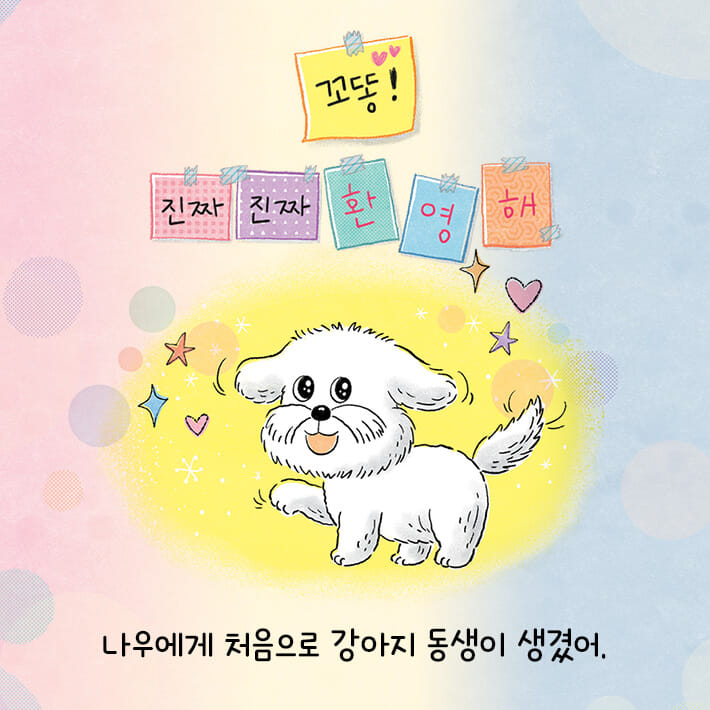 카드뉴스0