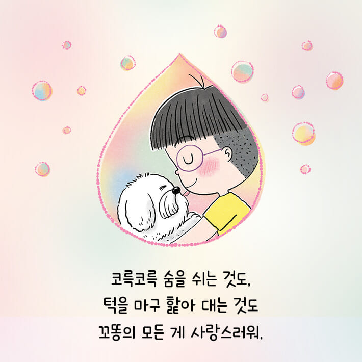 카드뉴스1