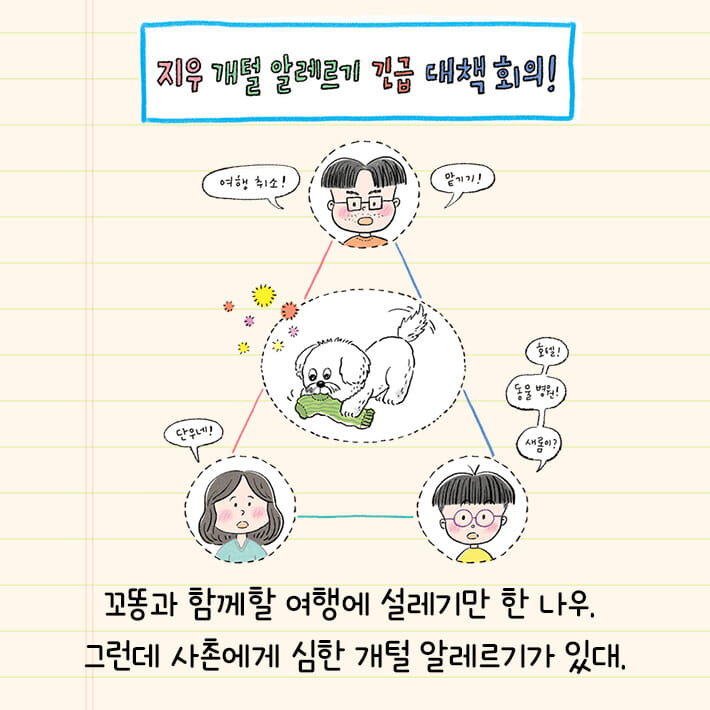 카드뉴스3
