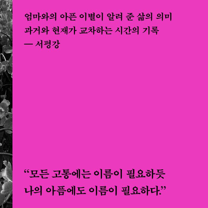 카드뉴스5