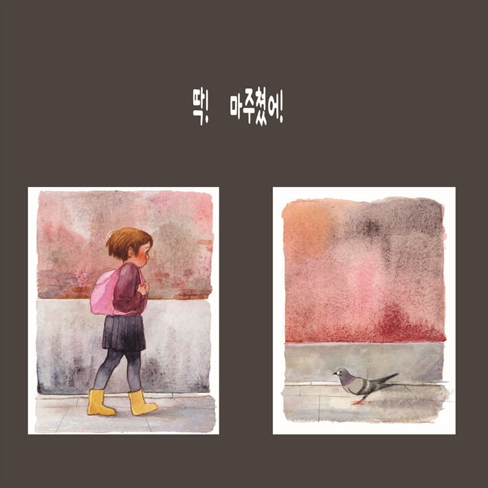 카드뉴스5