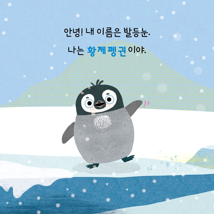 카드뉴스0