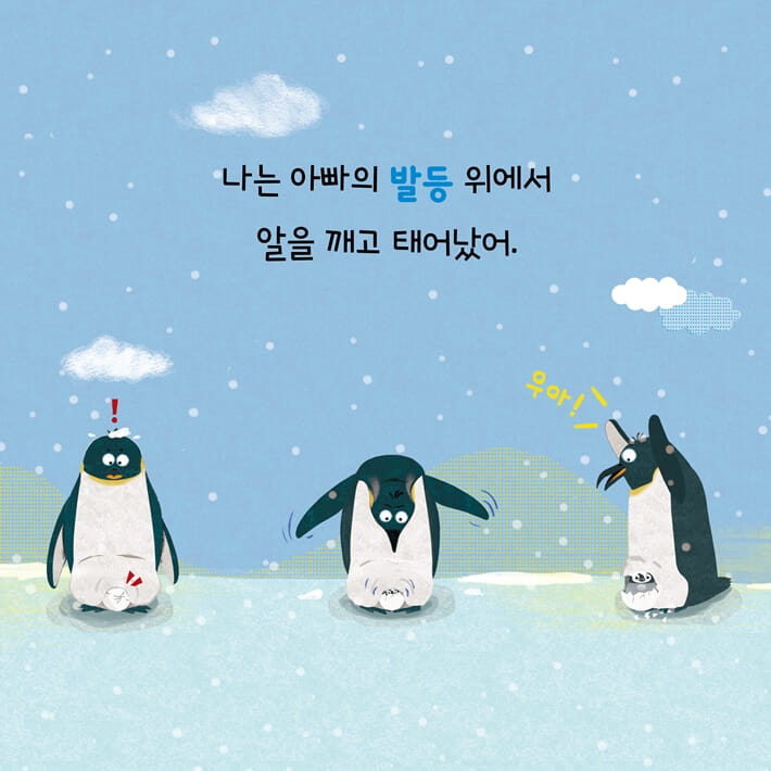 카드뉴스1