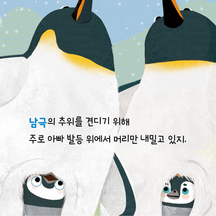 카드뉴스2