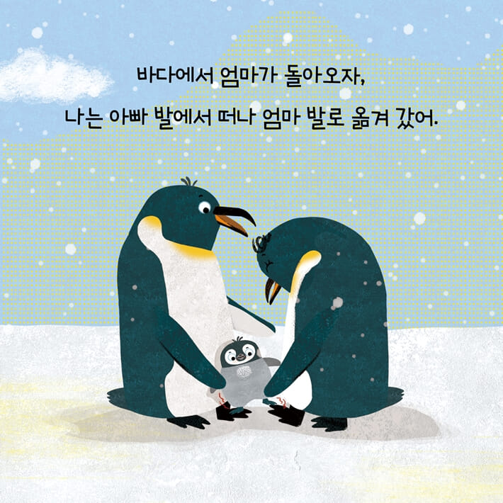 카드뉴스3