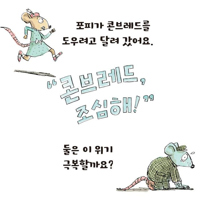 카드뉴스5