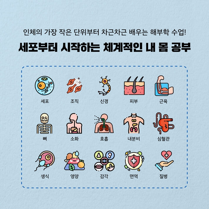 카드뉴스2