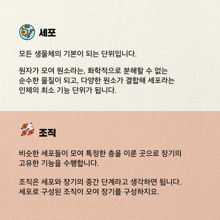 카드뉴스3