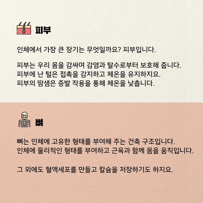 카드뉴스4