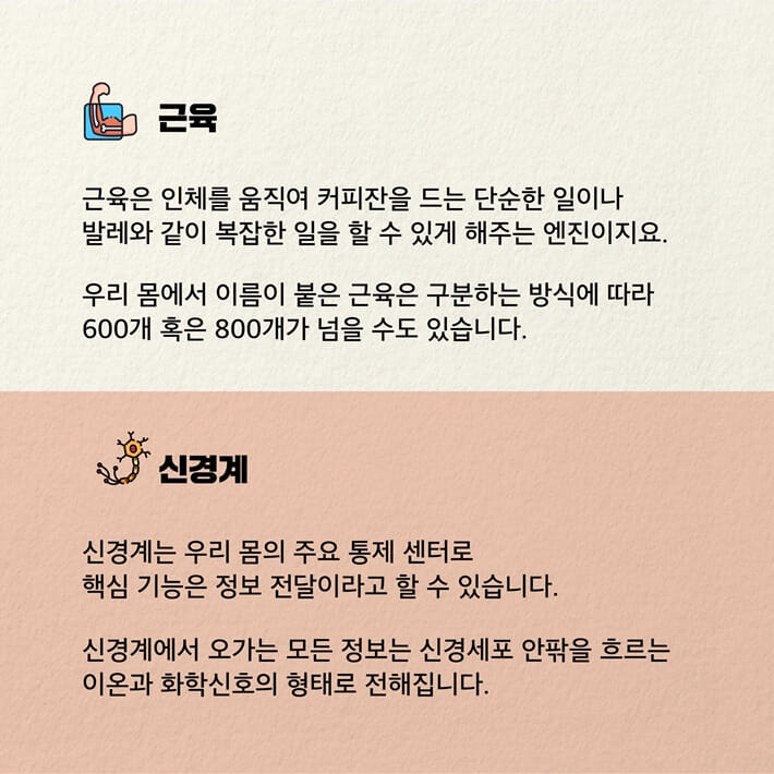 카드뉴스5
