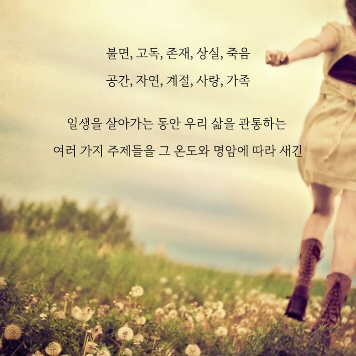 카드뉴스3