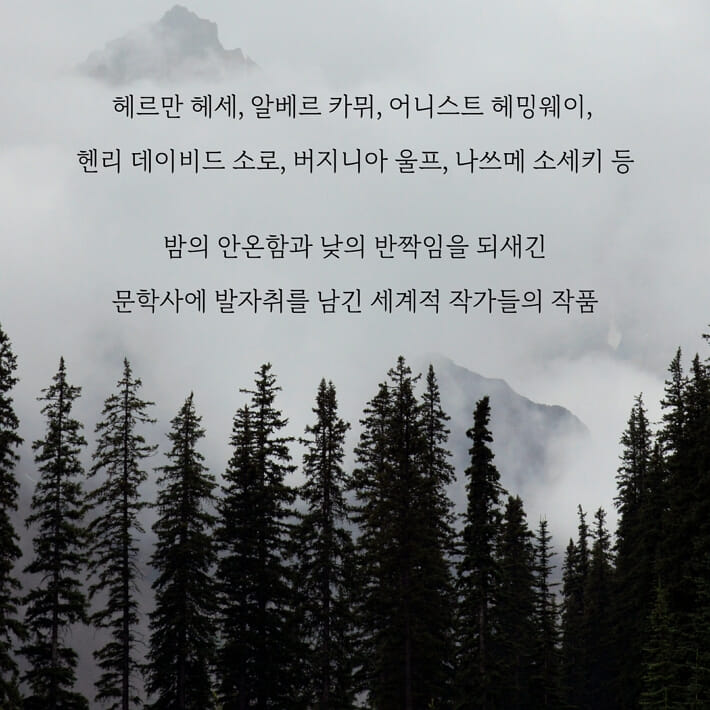 카드뉴스4
