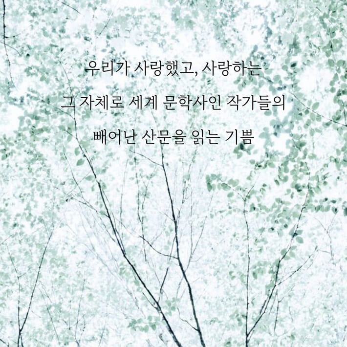 카드뉴스5
