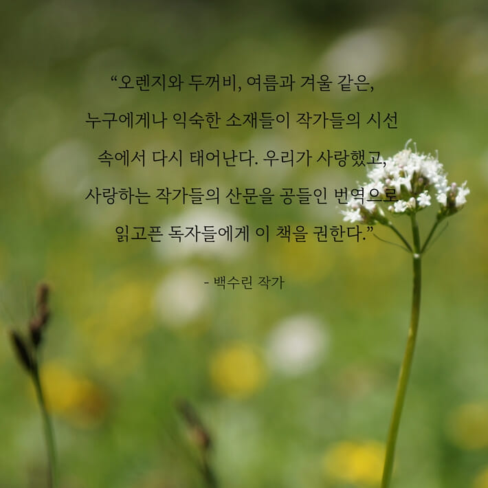 카드뉴스7