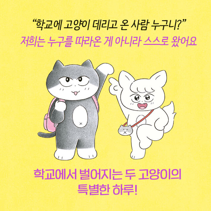 카드뉴스1
