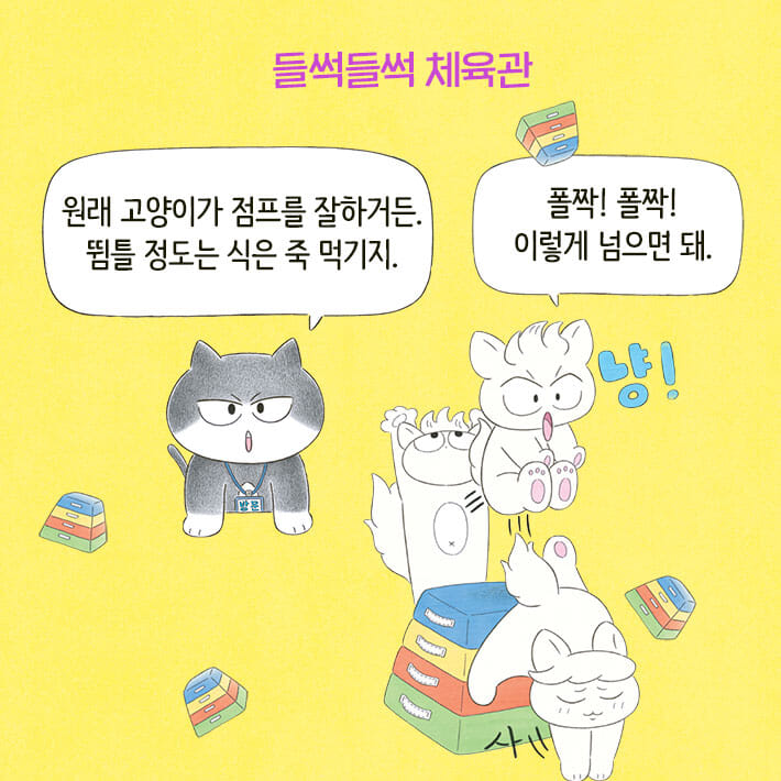 카드뉴스4