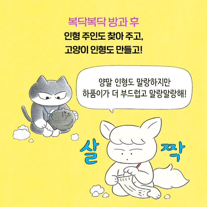 카드뉴스6