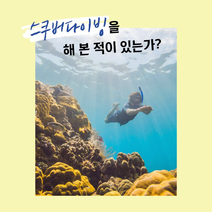 카드뉴스0