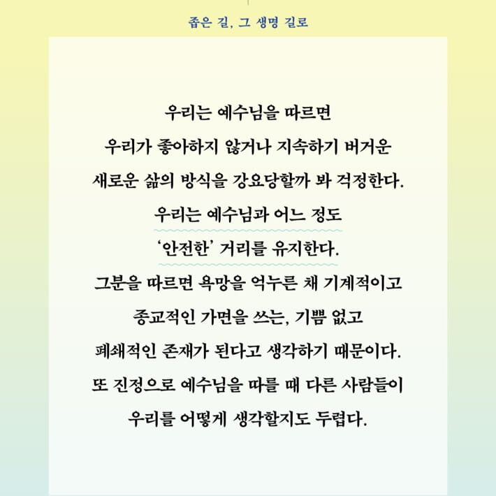 카드뉴스4