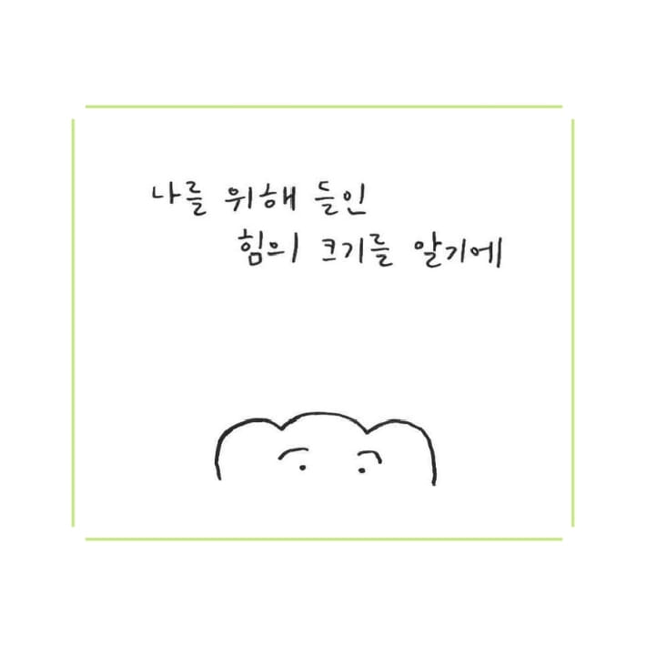 카드뉴스5