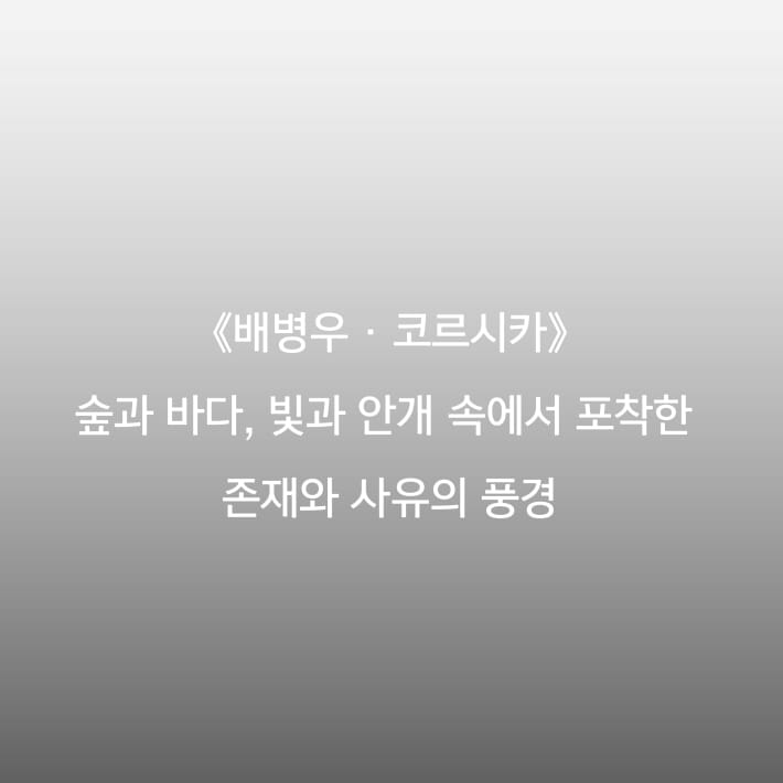 카드뉴스1