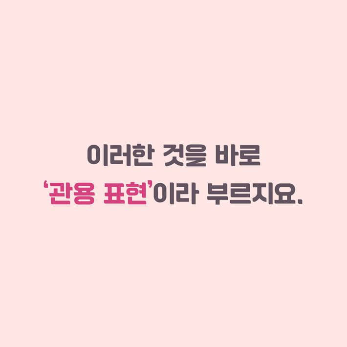 카드뉴스4