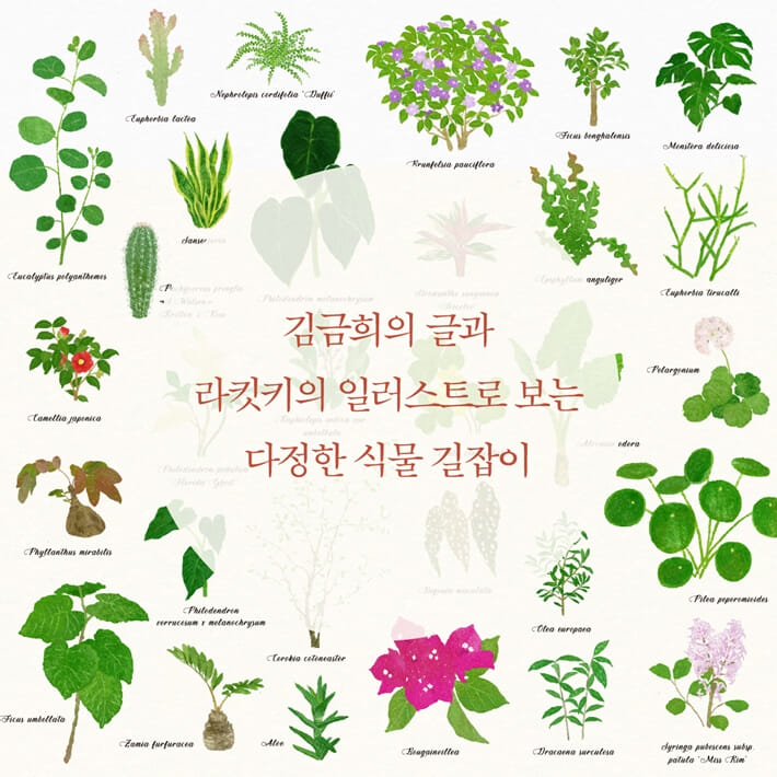 카드뉴스2