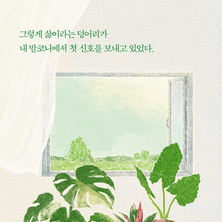 카드뉴스9