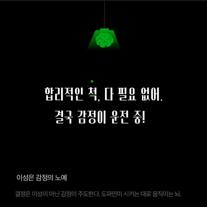 카드뉴스3