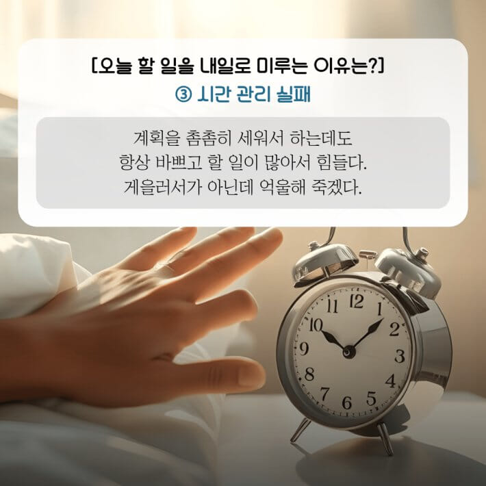 카드뉴스4