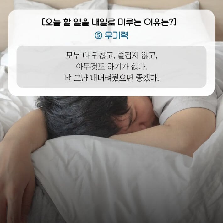카드뉴스6