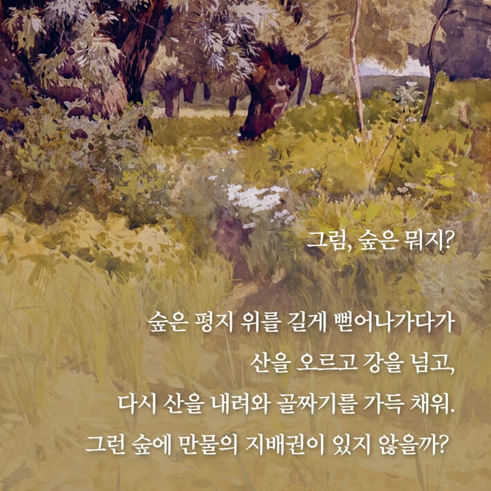 카드뉴스1