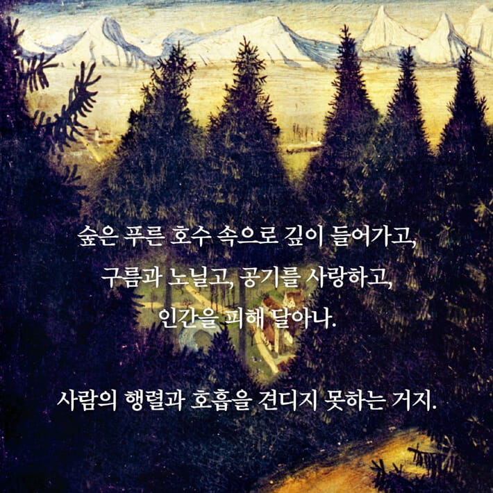 카드뉴스2