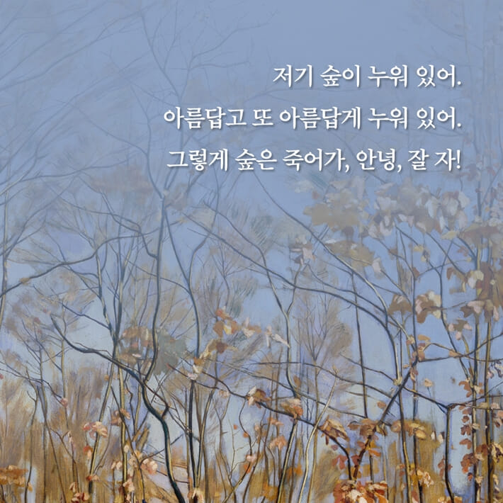 카드뉴스7
