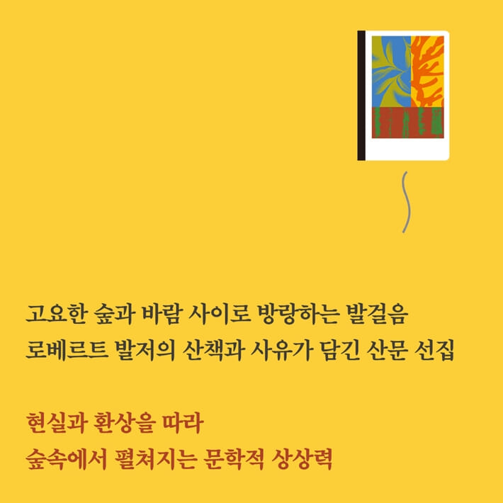 카드뉴스8