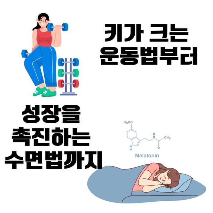 카드뉴스3