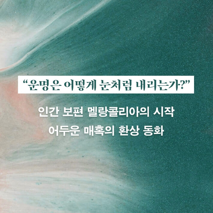 카드뉴스0