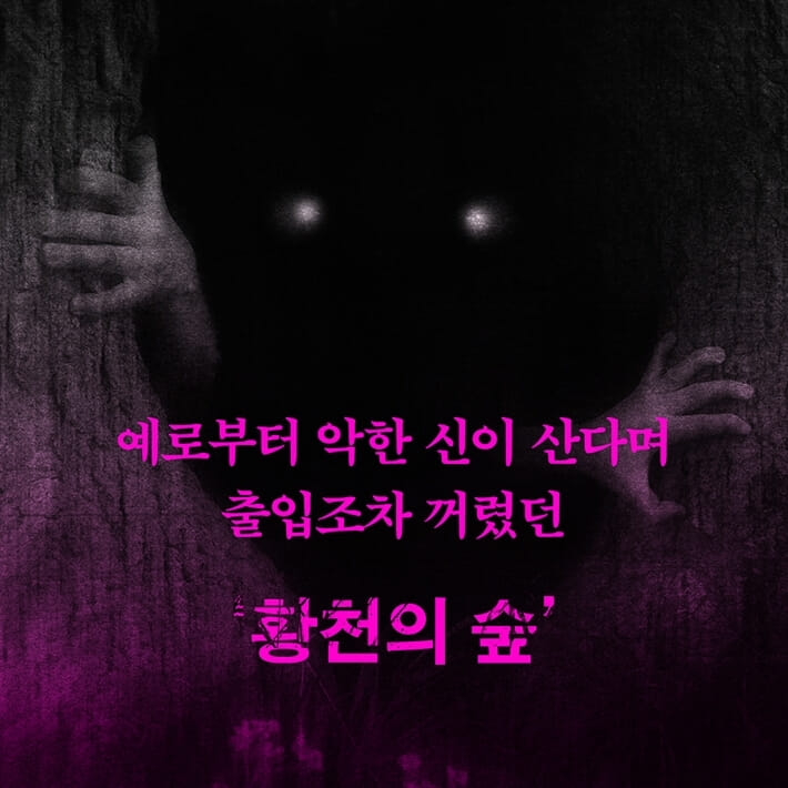 카드뉴스1