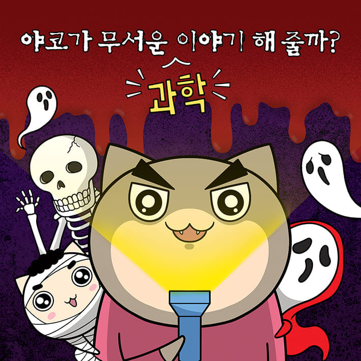 카드뉴스0