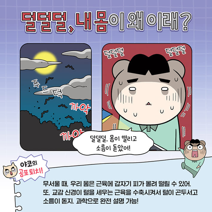 카드뉴스2