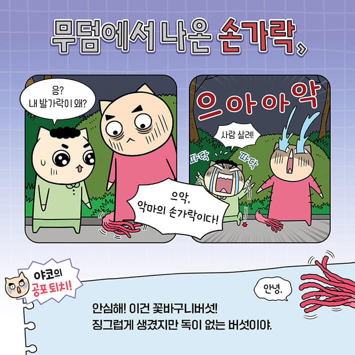 카드뉴스3