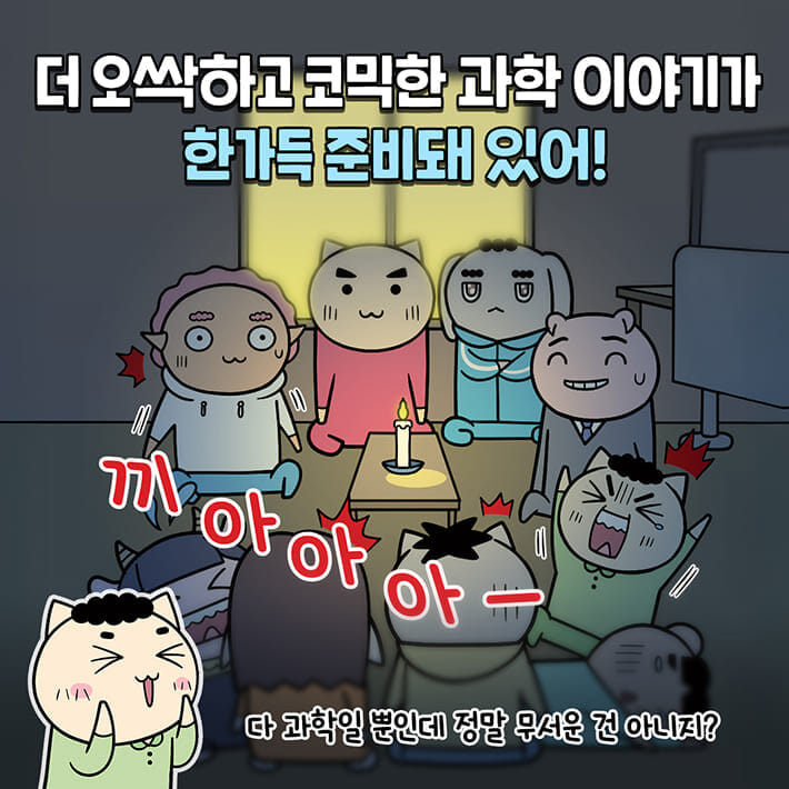 카드뉴스5