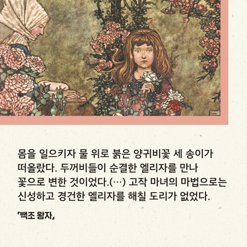 카드뉴스4