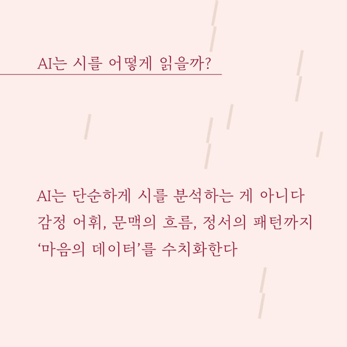 카드뉴스4