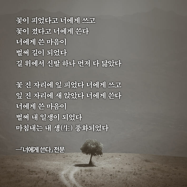 카드뉴스2